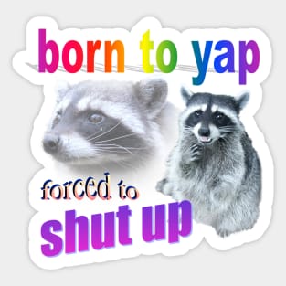 Born to yap, forced to shut up raccoon word art Sticker